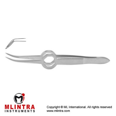 Shaaf Splinter Forcep Stainless Steel, 9.5 cm - 3 3/4"